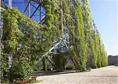 قطر طناب 1.2 میلی متری طناب فولادی ضد زنگ فولاد Ferrule برای صعود گیاه