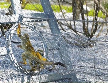 316 سیم فلزی سیم کشی سیم بتونی طناب باغ وحش از جنس استنلس استیل ضد زنگ برای خالص پرنده های پرنده